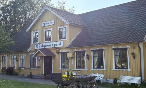 IMG_0008